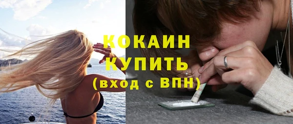 гашик Михайлов