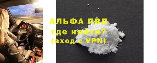 гашик Михайлов
