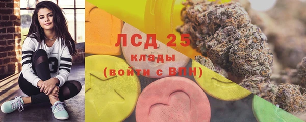 гашик Михайлов