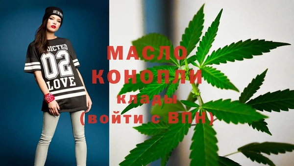 гашик Михайлов