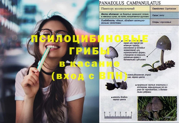 гашик Михайлов