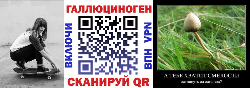 Галлюциногенные грибы MAGIC MUSHROOMS  Шимановск 